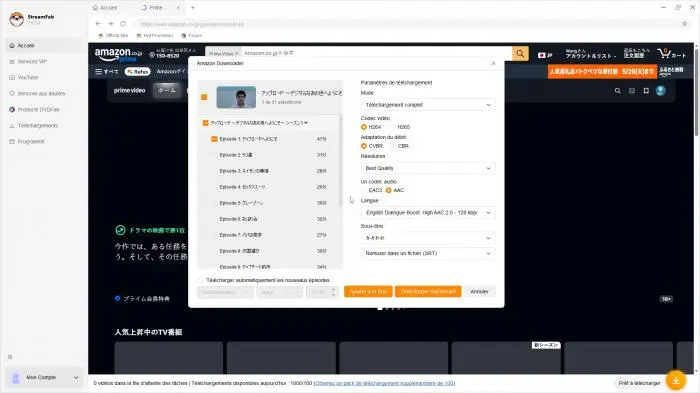 Navigation dans le catalogue Amazon Prime Video via StreamFab