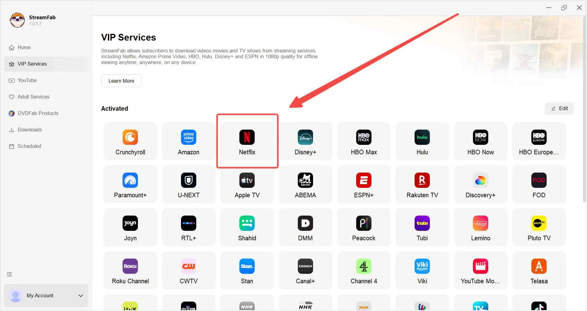 StreamFab All-In-One Downloader – VIP-Service-Auswahl im Hauptfenster