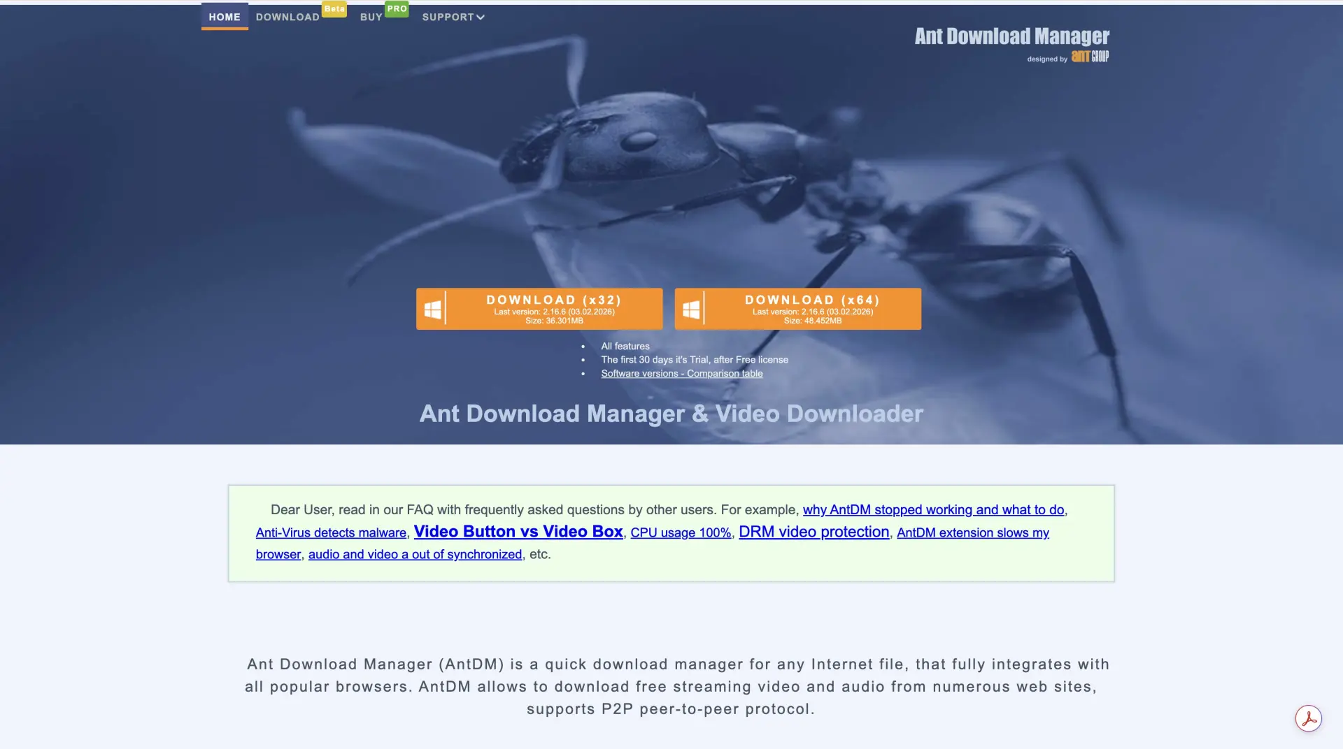 Ant Download Manager Windows interface for browser download setup
