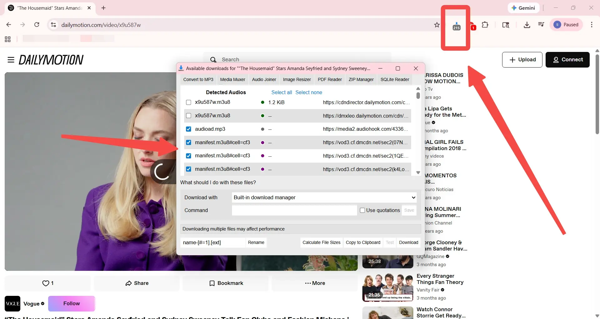 Dailymotion test showing Easy Video Downloader media fragments