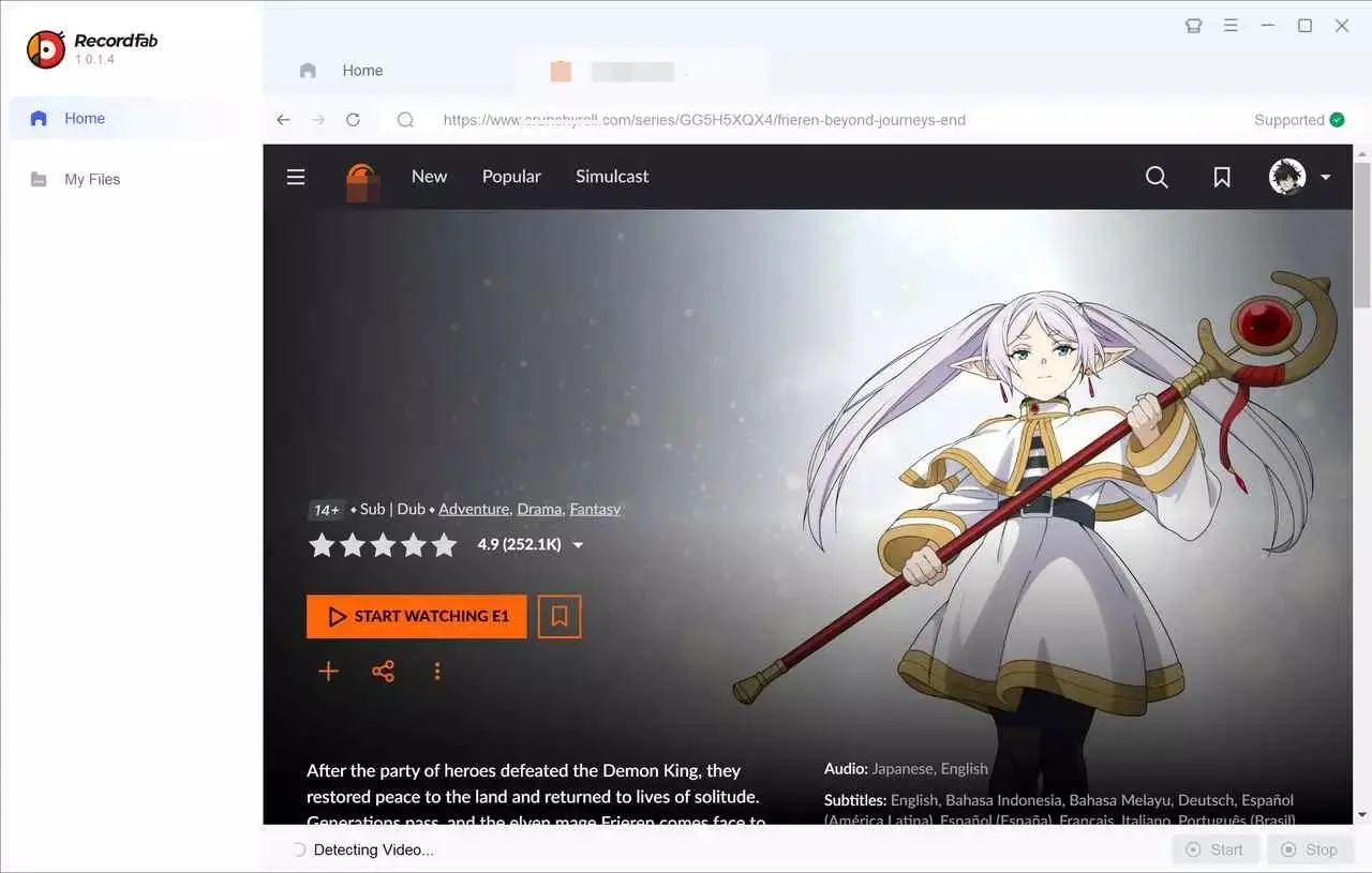 A guide on how to screen record Crunchyroll with RecordFab: step 3