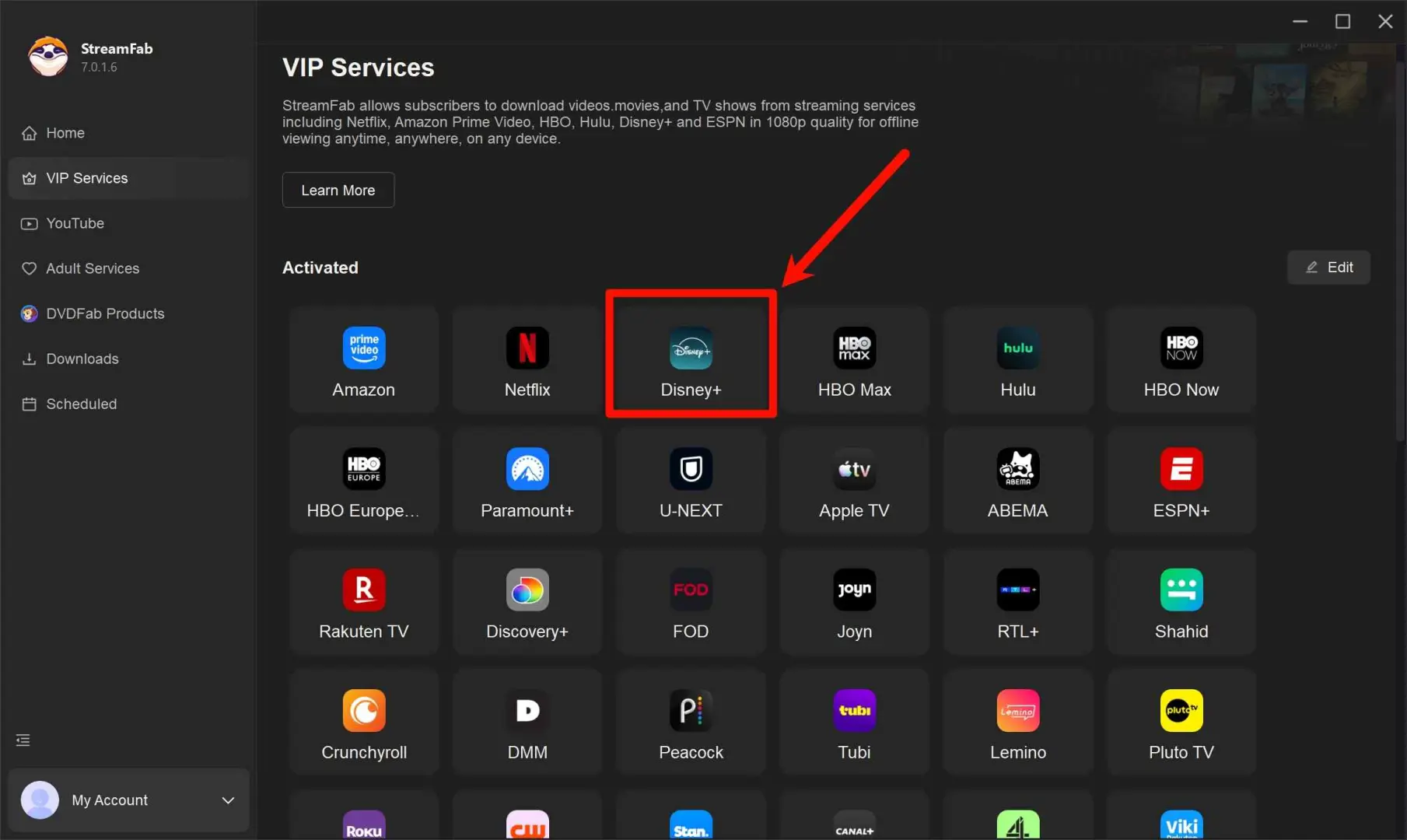 remove disney plus ads when downloading