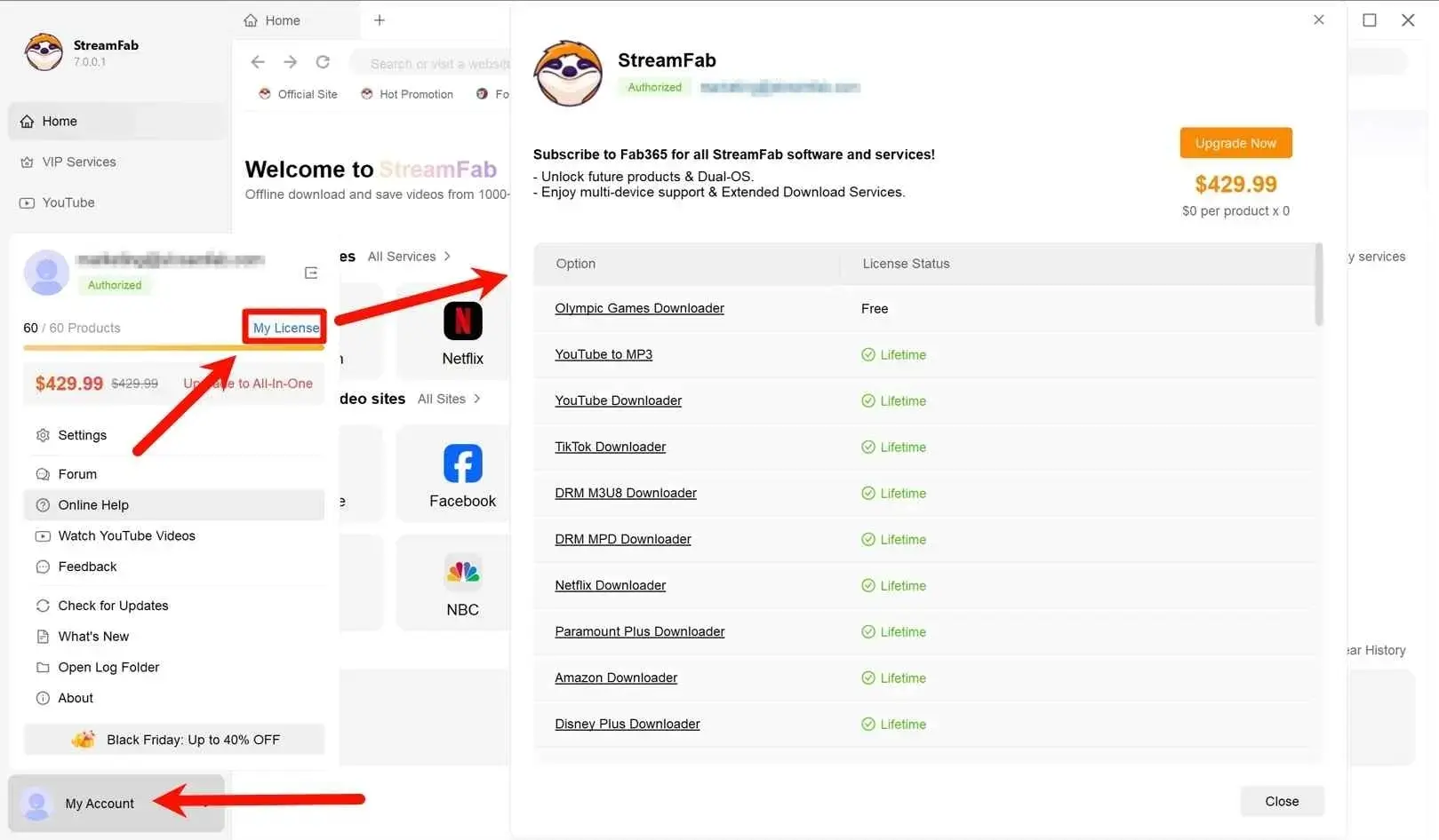 streamfab license key: verify activation