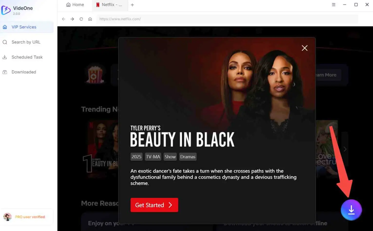 TuneFab Netflix Downloader installation and embedded Netflix browser