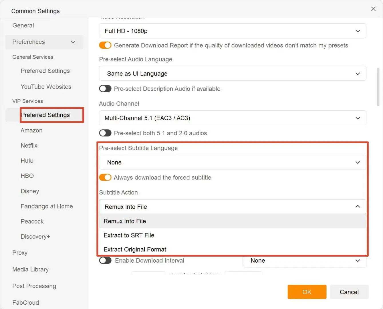 Résultat du téléchargement du fichier SRT dans StreamFab