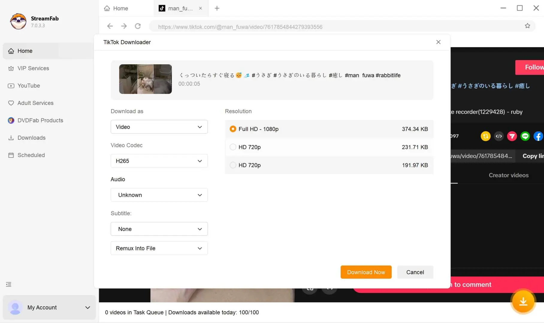 StreamFab TikTok video quality and format selection panel for choosing MP4 resolution and audio
