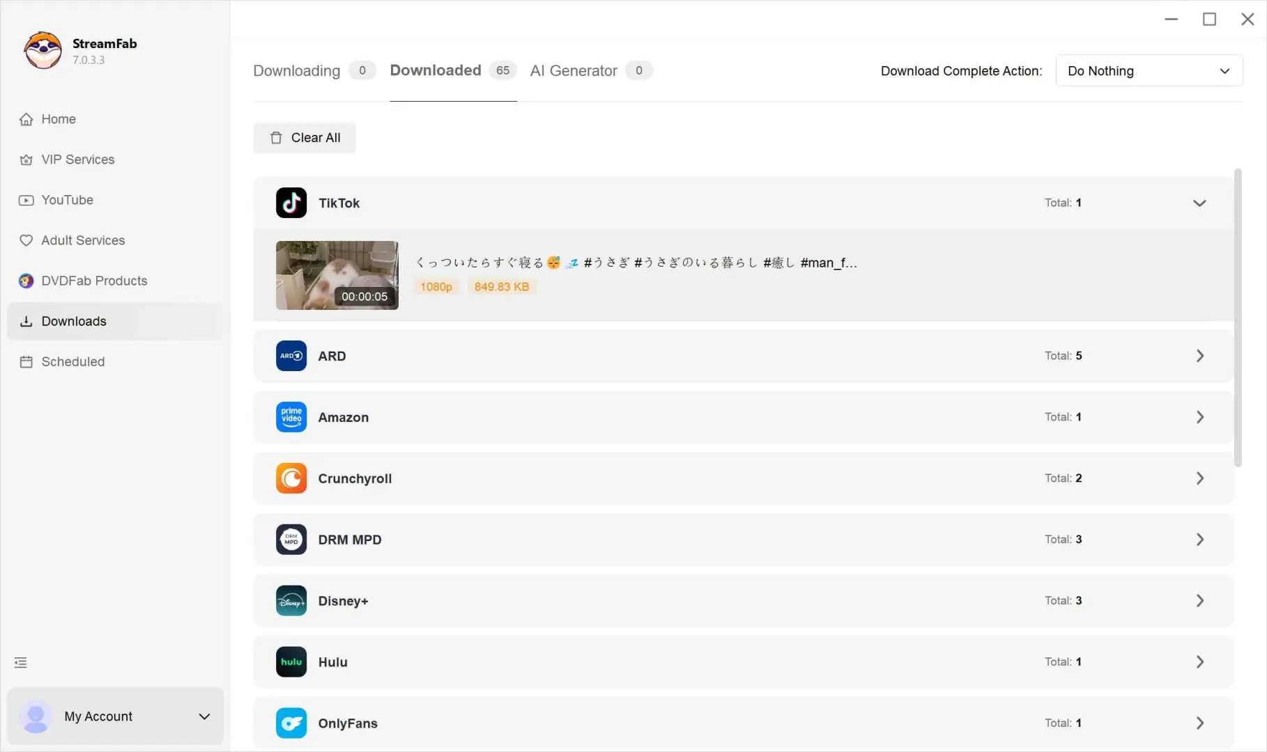 StreamFab Download Now button for saving a TikTok video as a local MP4 file