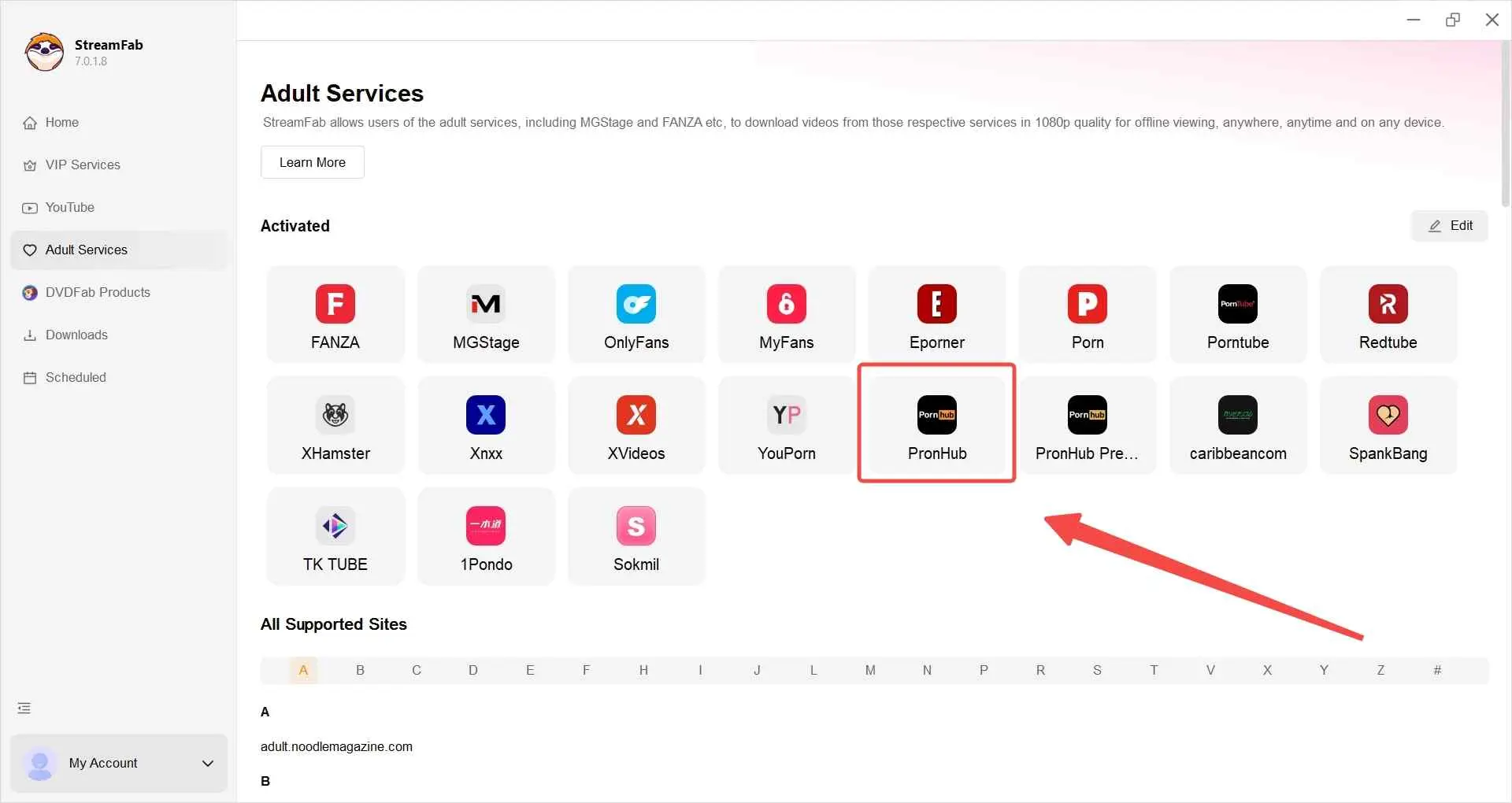 how to download Pornhub videos with StreamFab