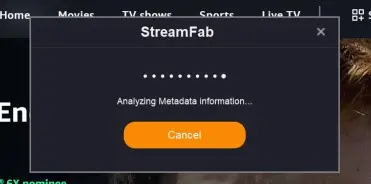 StreamFab workflow separating analysis from download