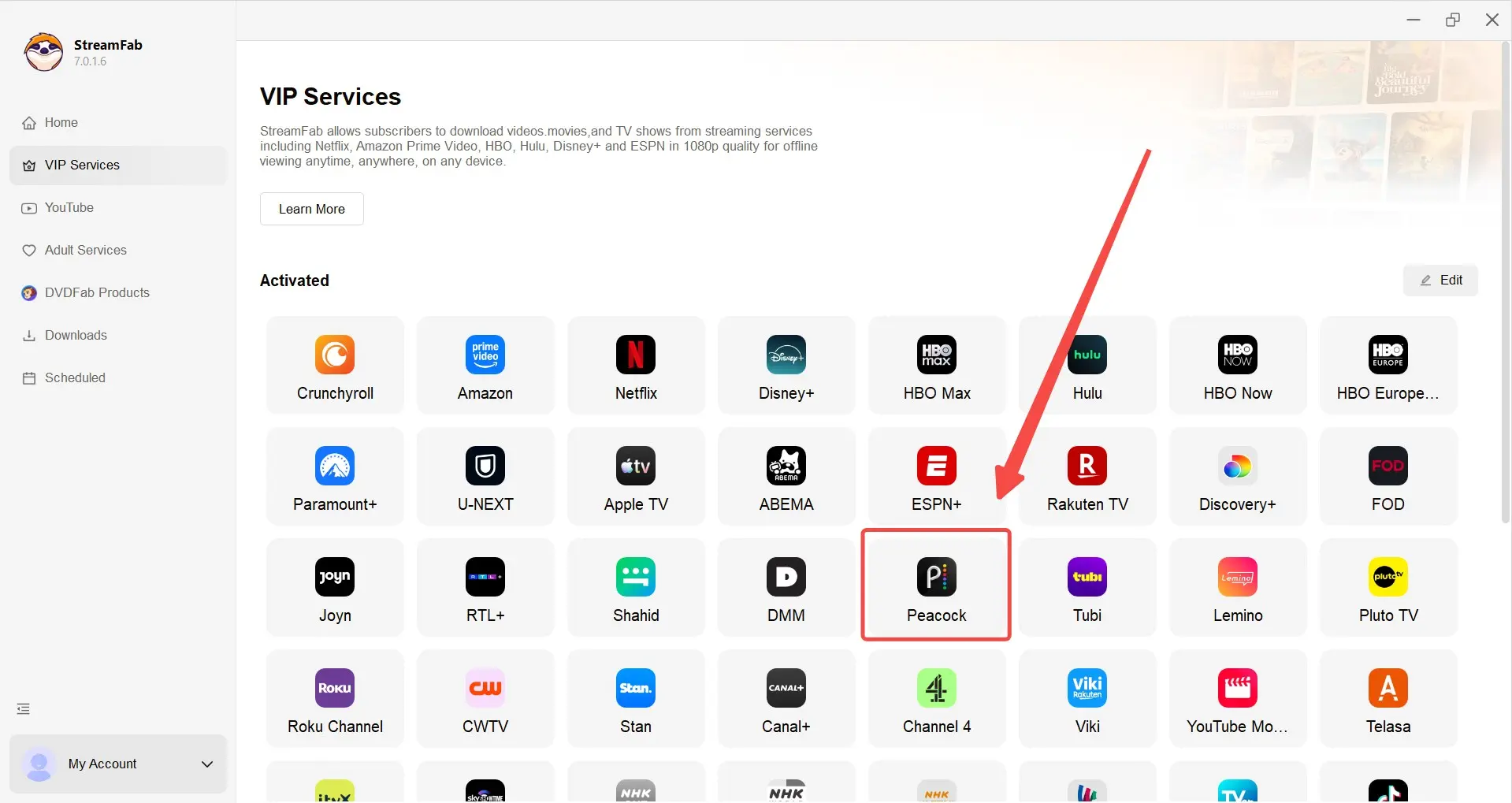 streamfab peacock downloader review: user guide