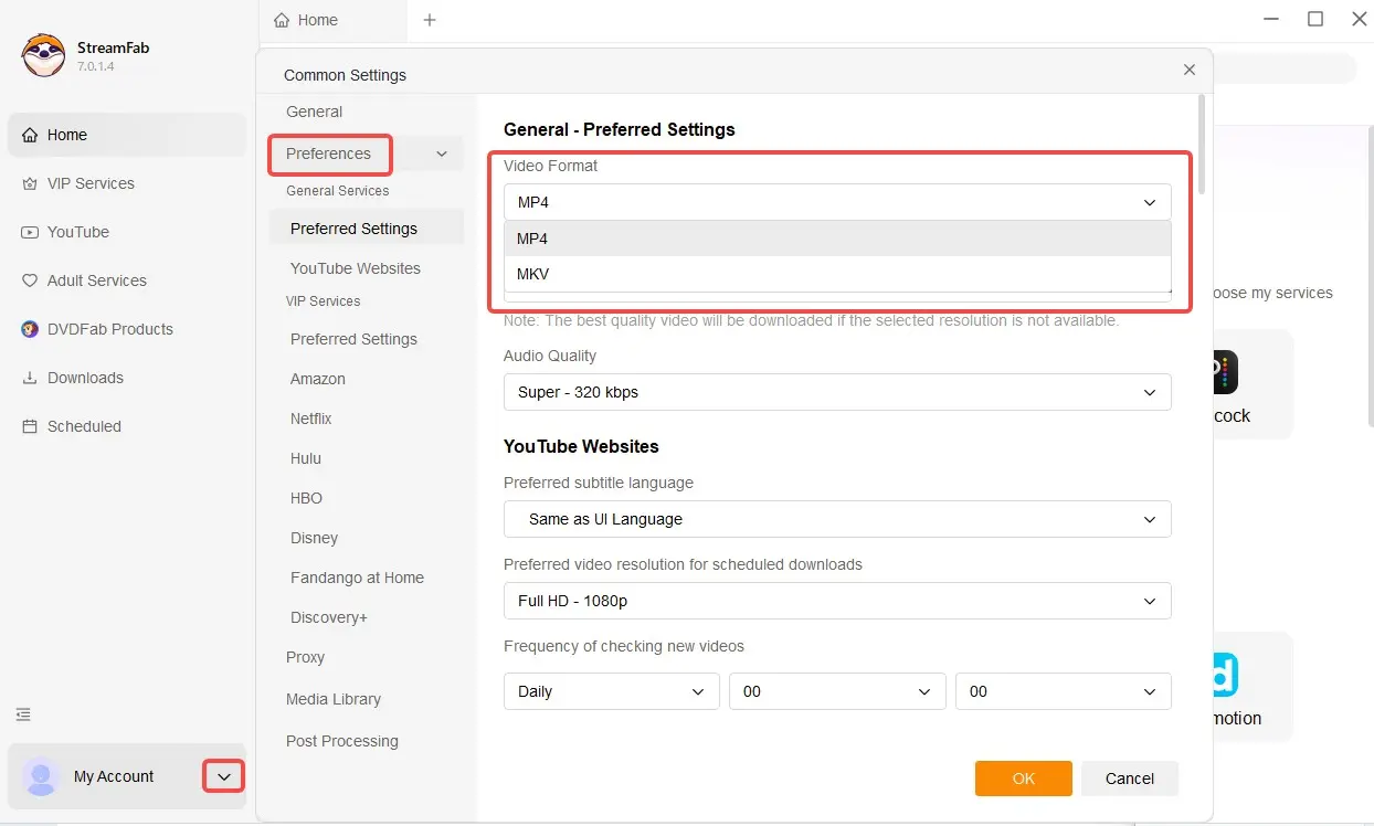 Cómo gestionar los límites de descarga de Amazon Prime Video mediante StreamFab: Paso 3
