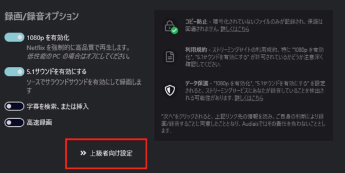 Audials Oneの上級者向け設定でYouTube録画項目を開く画面