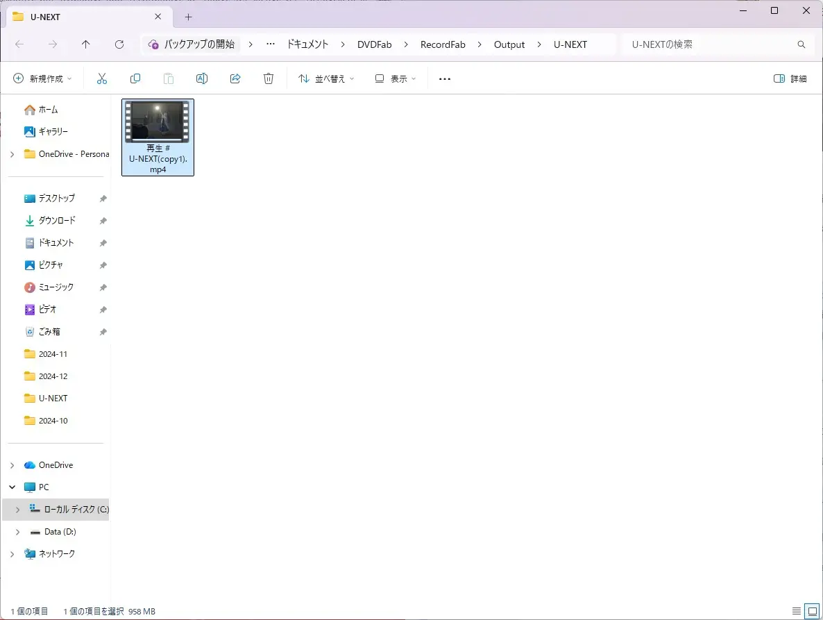 RecordFabで出力したMP4ファイルを確認する画面