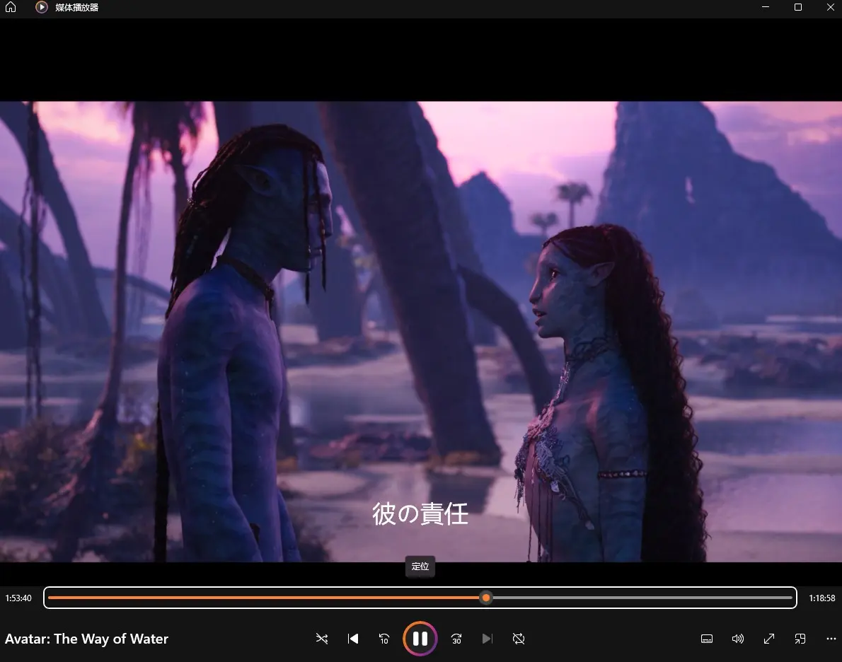StreamFabで保存したDisney+動画を再生確認する画面