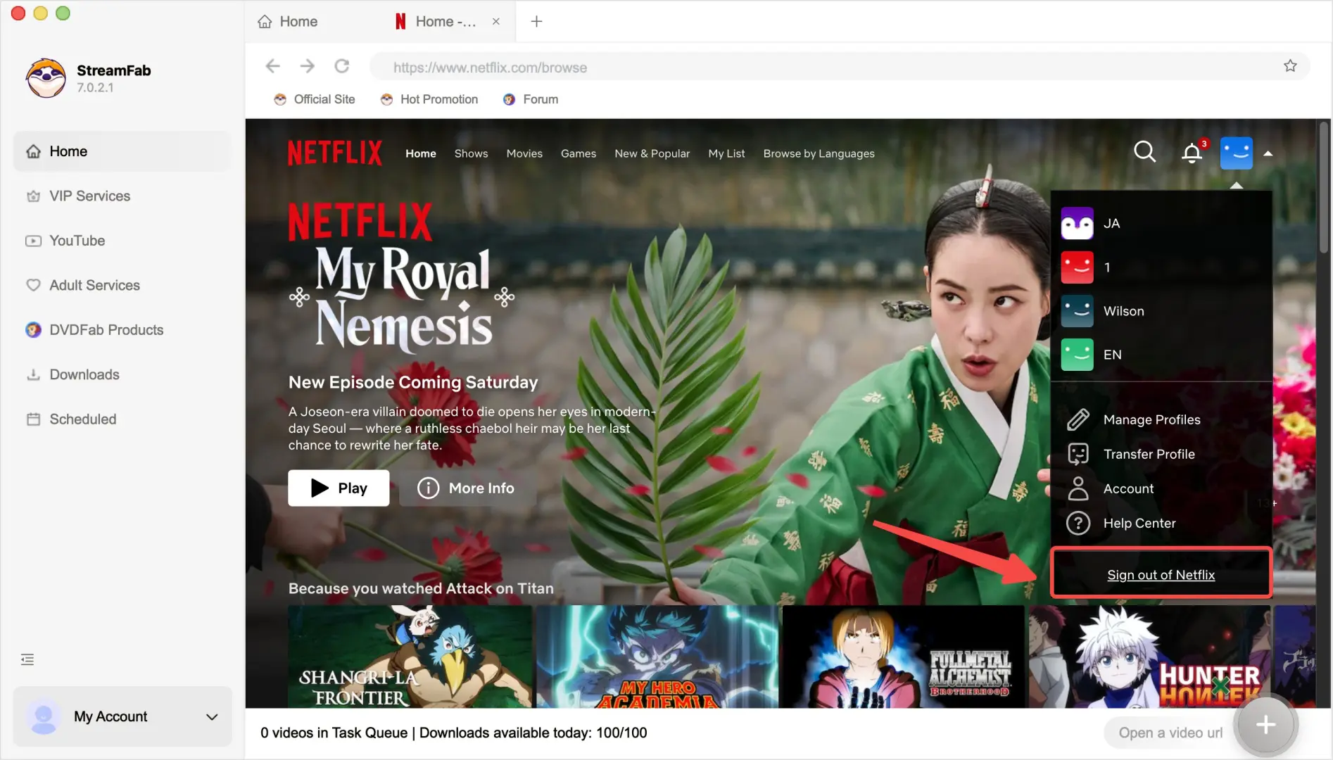 streamfab netflix 310 not work issues