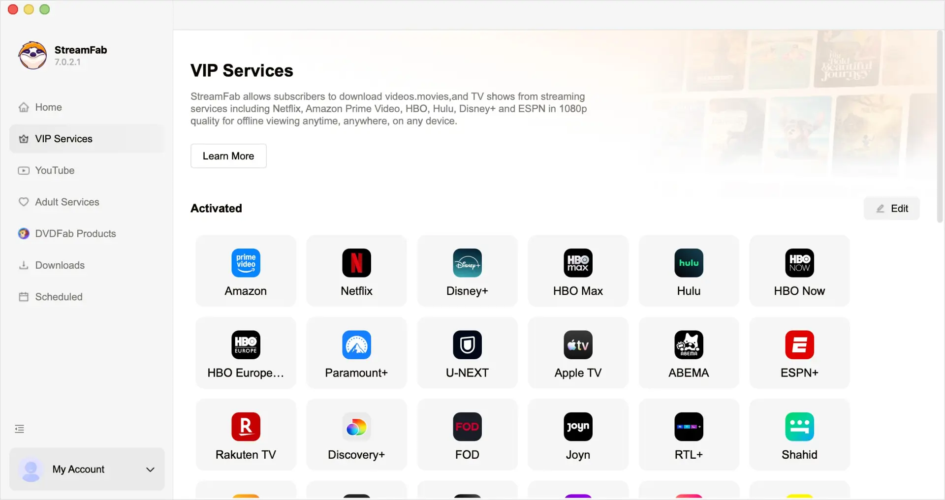 StreamFabのVIPサービス一覧画面、Netflix・Amazon・Disney+など対応サービスのアイコンが表示されている