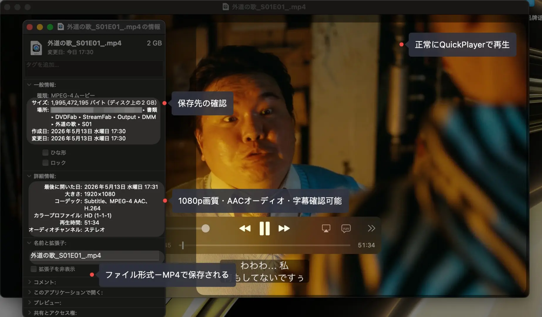 StreamFab 出力ファイル確認(2GB / 51分34秒 / 1080p / AAC / 字幕付き)