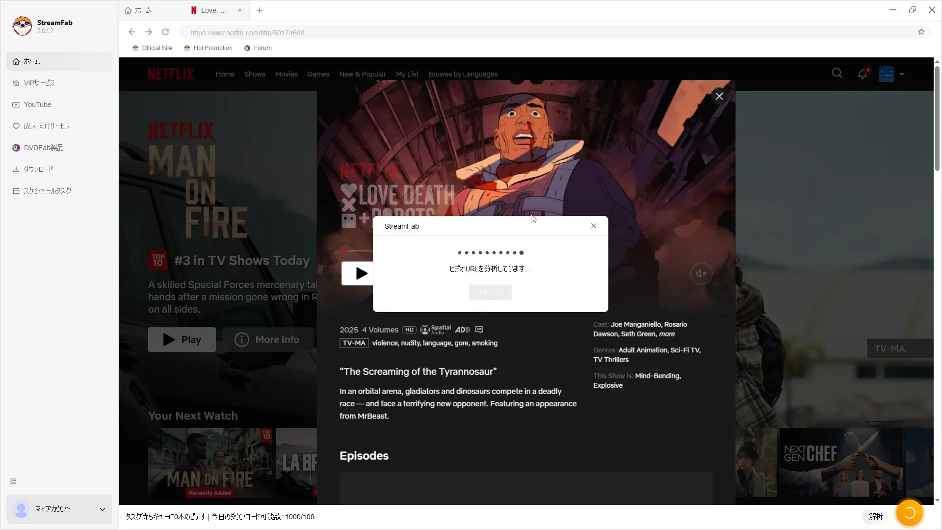 Netflix 作品再生中に StreamFab が仕様と画質を自動検出している画面