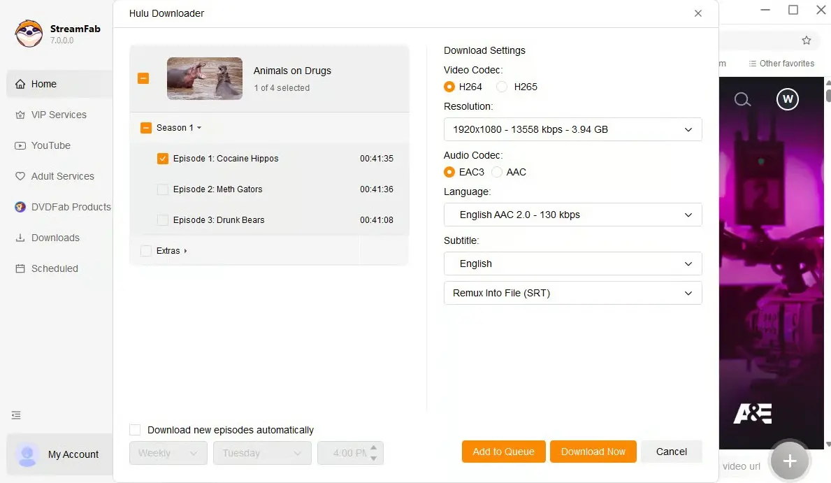 StreamFab Hulu 下載器設定音軌字幕與輸出