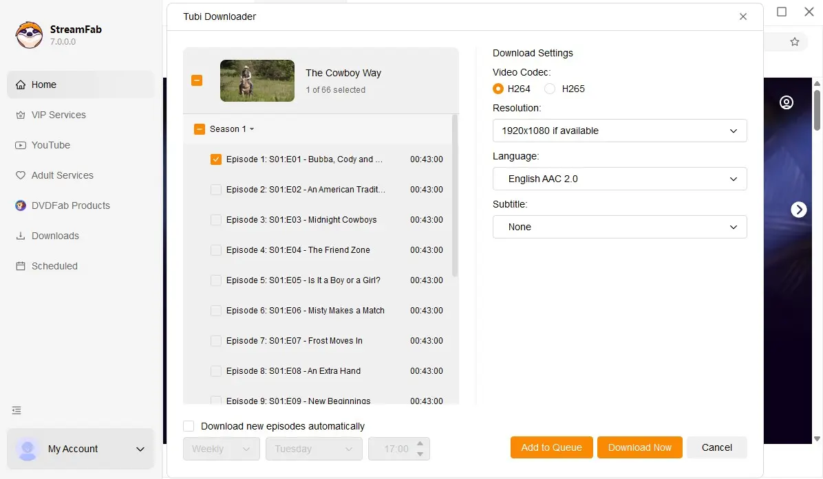 StreamFab Tubi Downloader 設定 Tubi 影片下載格式與字幕