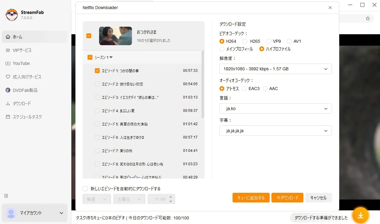 StreamFab Netflix Downloader 評測:批量下載模式